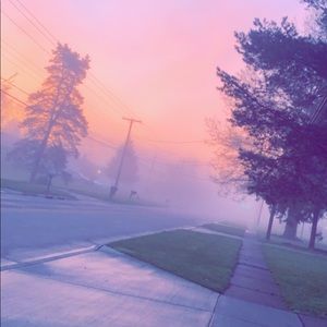 Meet your Posher, Randy